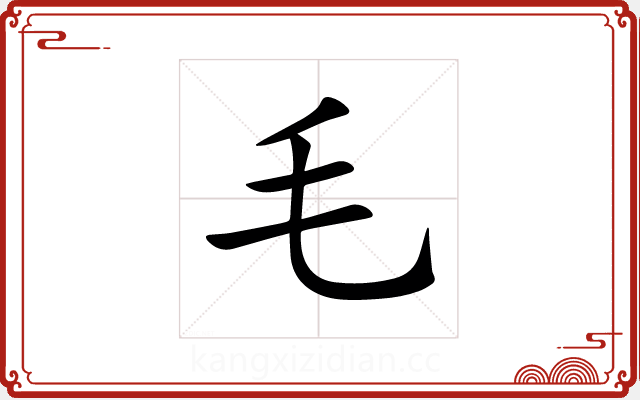 毛 毛